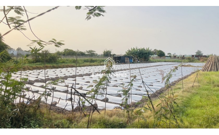Cơ Hội Vàng! 3018m2 Đất CLN Bình Chánh, Lê Thị Dung - Chỉ 23 tỷ, Sổ Hồng, Đường 10m!